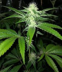 04 wedding cake