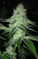 09 Wedding Cake