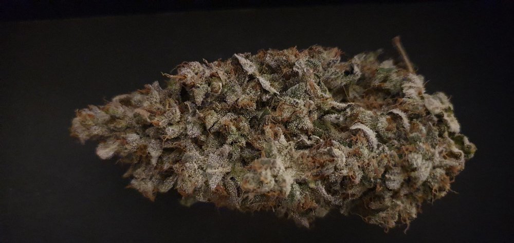 weed420-592.thumb.jpg.0f14905e7d59b3f87e6af7b1a953257f.jpg
