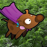 Puffthedog