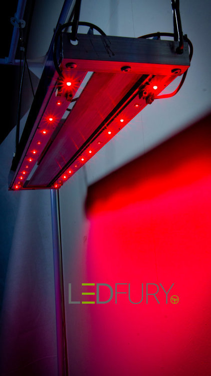 REDbyLEDFURY - Copie.jpg