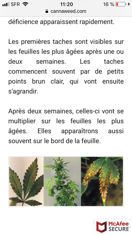 DCA5D4DD-31C4-4553-BED5-C2F7F1EC878D.png