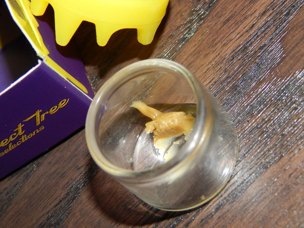 DSCN7901.JPG