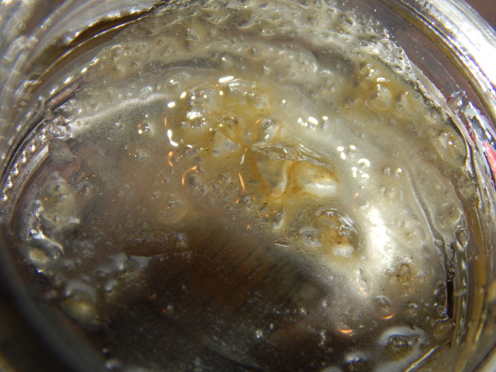 DSCN7923.JPG
