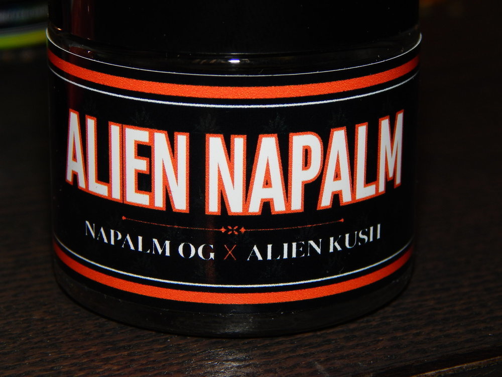 DSCN7980.JPG
