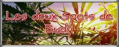 2020-03-25-14-00-45.jpg
