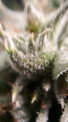 20200320_174813.jpg