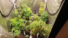 20200321_063806.jpg