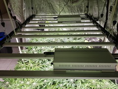 20200327_210946.jpg