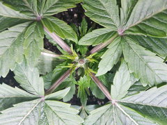 20200328_141739.jpg