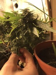 29212166-F9C7-490E-853B-CD01287E8D34.jpeg