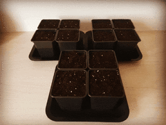 GIF-200228_205532.gif