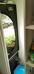 IMG_20200305_200659.jpg