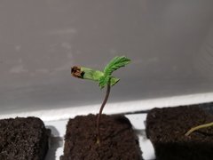 IMG_20200306_220122.jpg