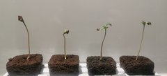 IMG_20200309_170331.jpg