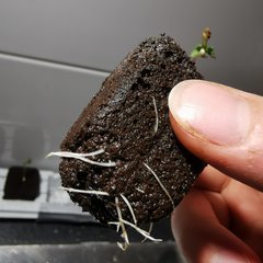IMG_20200309_170504.jpg