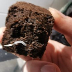 IMG_20200309_170551.jpg
