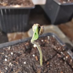 IMG_20200309_174738.jpg