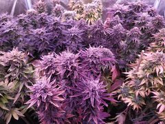 IMG_20200315_155330.jpg
