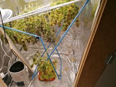 IMG_20200320_025422.jpg