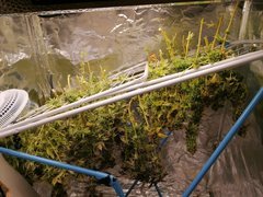 IMG_20200320_025439.jpg