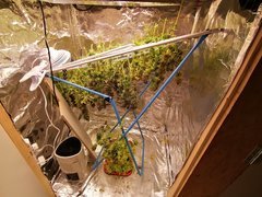 IMG_20200320_025445.jpg