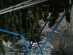 IMG_20200320_025509.jpg
