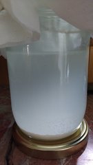 IMG_20200324_112326221_cleaned.jpg