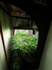 IMG_20200326_195514.jpg