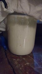 IMG_20200328_190534906_cleaned.jpg