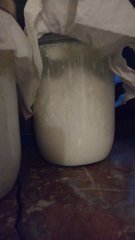 IMG_20200328_190559417_cleaned.jpg