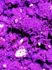 IMG_20200331_220020.jpg
