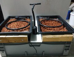 Irri01.JPG