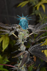 Luruority of Liberty