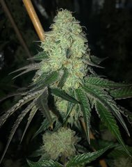 02 wedding cake