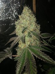 03 wedding cake