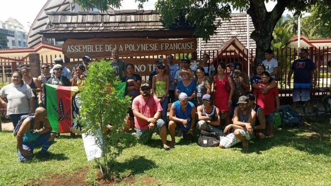 Tahiti Herb Cultur plante un pied de PAKA devant l’Assemblée de Polynésie Française