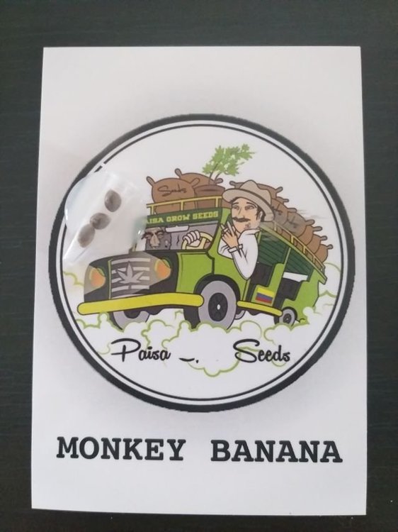1349763347_Paisaseeds(6).thumb.jpg.0643a89c7f80182b5b9746671f139c8d.jpg
