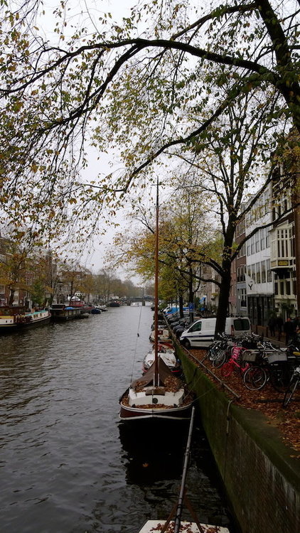 DSC02036.jpg