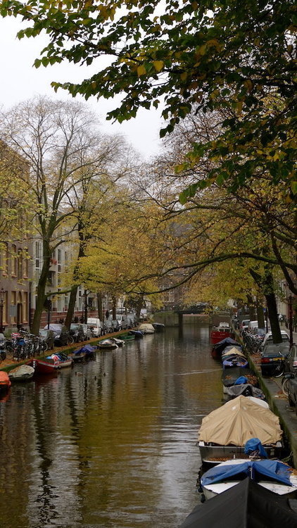 DSC02044.jpg