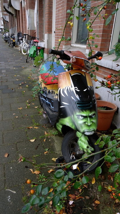 DSC02068.jpg