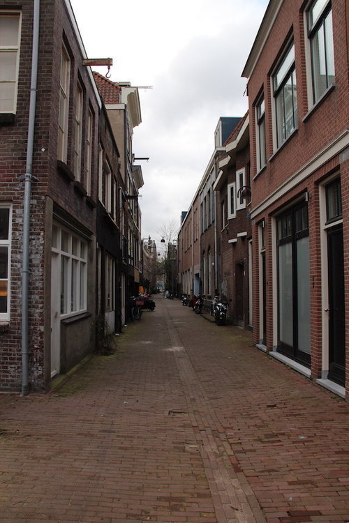 IMG_7802.JPG