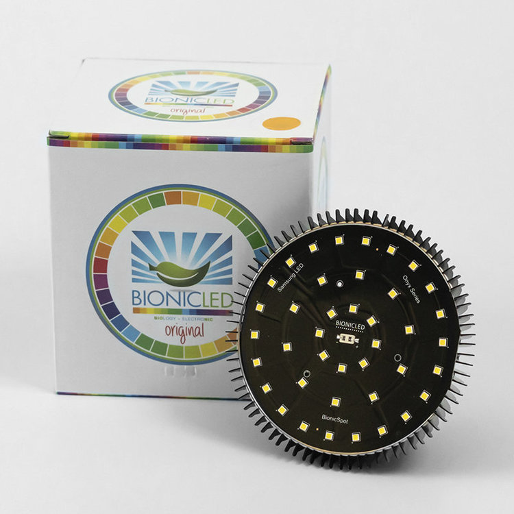 SPOT-Grande-Caliente-BOX.jpg