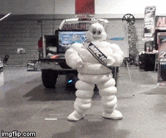 michelin.gif.bdd85a23f8e43e282e5730612e3bf1fd.gif