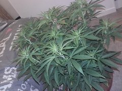 20200321_225922.jpg