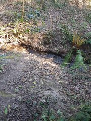 20200325_150930_compress10.jpg