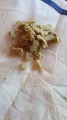 Ice O/Tangie