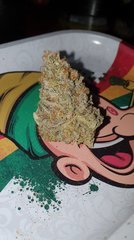 Z3 x Wattermelon Zkittlez