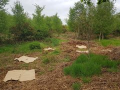 20200424_161707_compress30.jpg