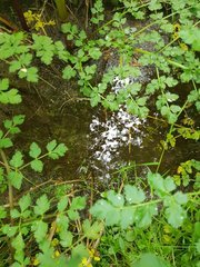 20200424_163306_compress30.jpg